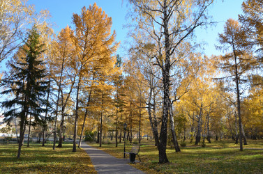 Similar image 21874990