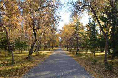 Similar image 21874991