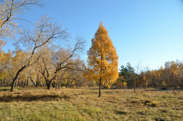 Similar image 21874992