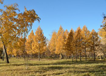 Similar image 21874993