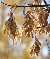 Similar image 21874994