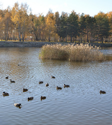 Similar image 21874997