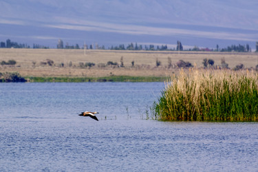 Similar image 21875584