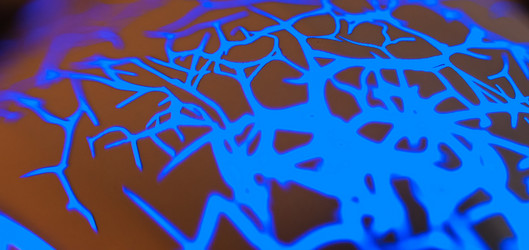 Similar image 21875591