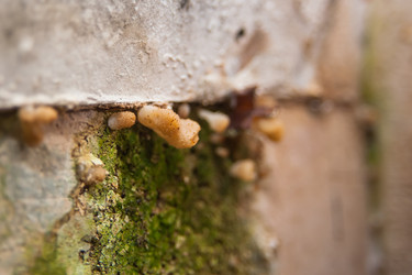 Similar image 21875599