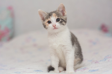 Similar image 21875967