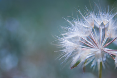 Similar image 21875977