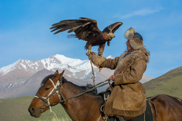 Similar image 21875978