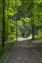 Similar image 21875434