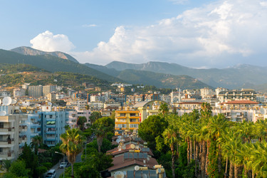 Similar image 21875447