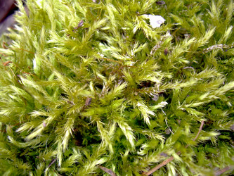 Similar image 21875454