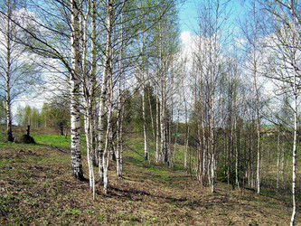 Similar image 21875455