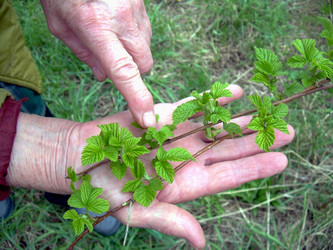 Similar image 21875456