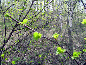 Similar image 21875457