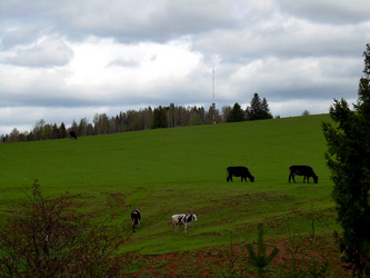 Similar image 21875458