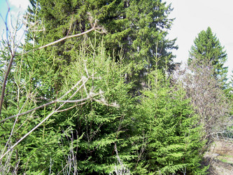 Similar image 21875459