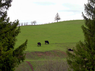 Similar image 21875460