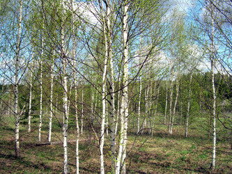 Similar image 21875465