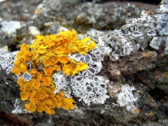 Similar image 21875468