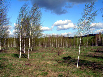 Similar image 21875469