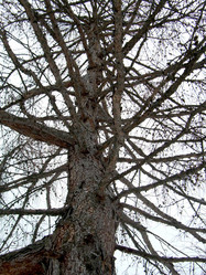 Similar image 21875470