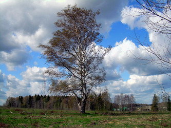 Similar image 21875471