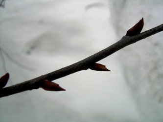 Similar image 21875472