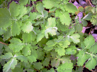 Similar image 21875473