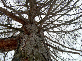 Similar image 21875474