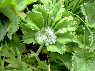 Similar image 21875475