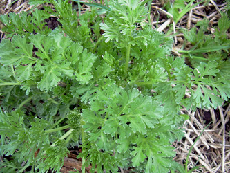 Similar image 21875476