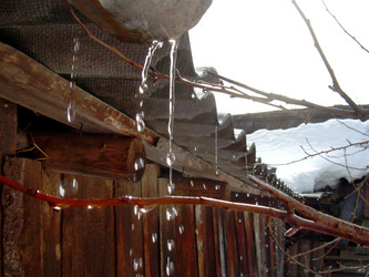 Similar image 21875479