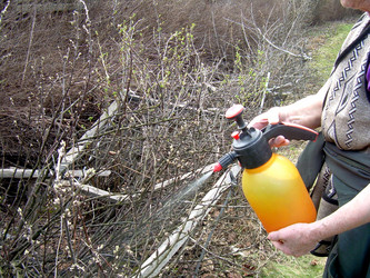 Similar image 21875485