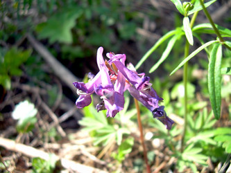 Similar image 21875486