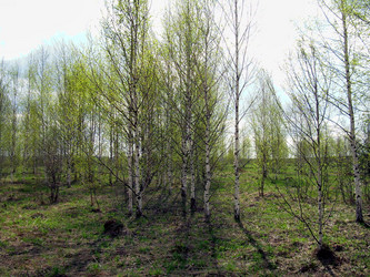 Similar image 21875487