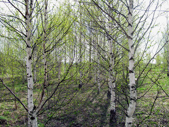 Similar image 21875488