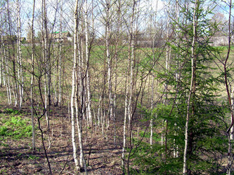 Similar image 21875489