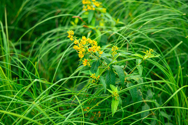 Similar image 21875536