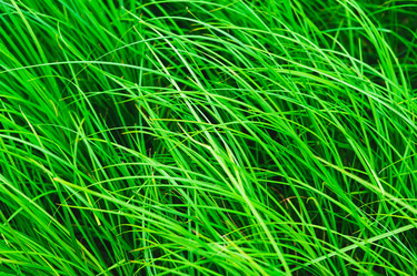 Similar image 21875537