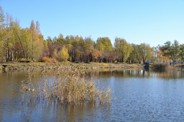 Similar image 21875542