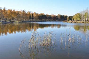 Similar image 21875543