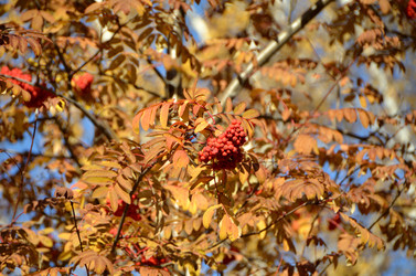 Similar image 21875545