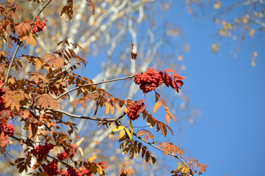 Similar image 21875546