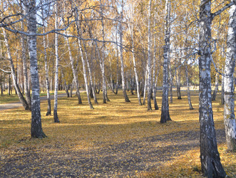 Similar image 21875547