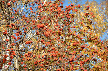 Similar image 21875549