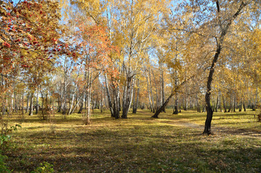 Similar image 21875550