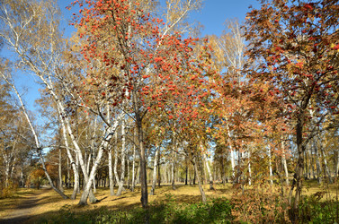 Similar image 21875551