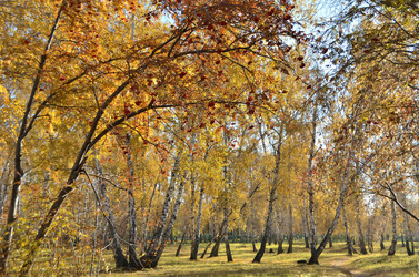 Similar image 21875552