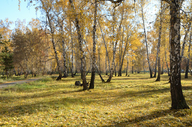 Similar image 21875553