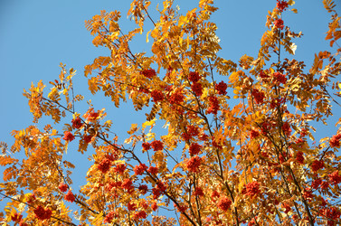 Similar image 21875554